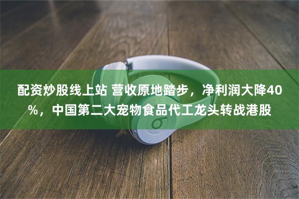 配资炒股线上站 营收原地踏步，净利润大降40%，中国第二大宠物食品代工龙头转战港股
