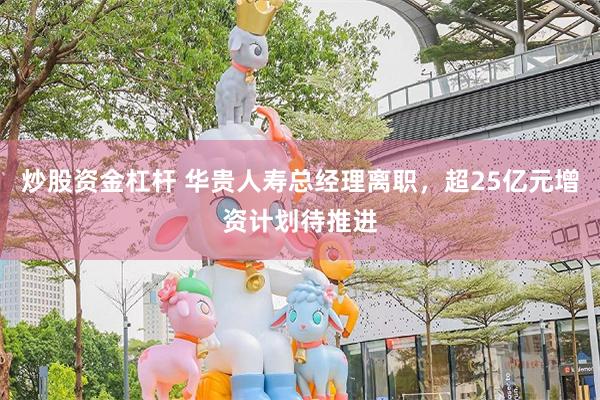炒股资金杠杆 华贵人寿总经理离职，超25亿元增资计划待推进