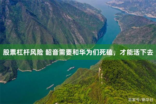 股票杠杆风险 韶音需要和华为们死磕，才能活下去