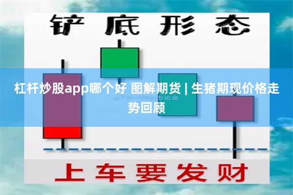 杠杆炒股app哪个好 图解期货 | 生猪期现价格走势回顾