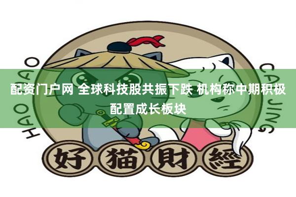 配资门户网 全球科技股共振下跌 机构称中期积极配置成长板块
