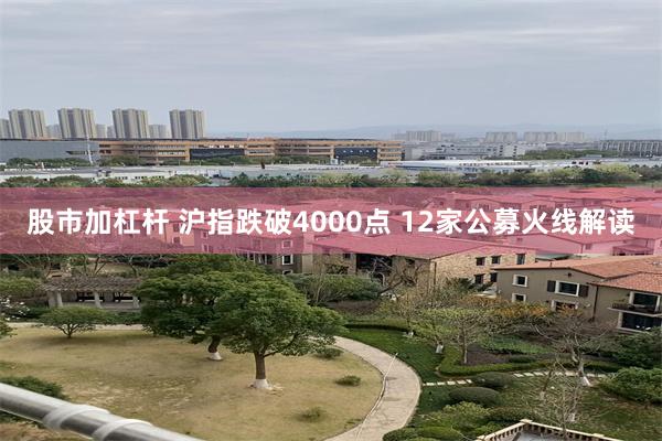 股市加杠杆 沪指跌破4000点 12家公募火线解读