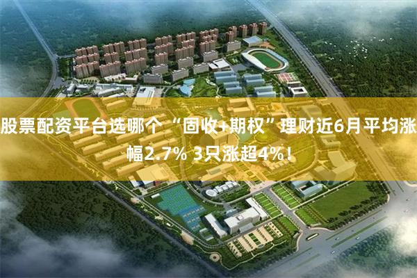 股票配资平台选哪个 “固收+期权”理财近6月平均涨幅2.7% 3只涨超4%！