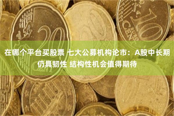 在哪个平台买股票 七大公募机构论市：A股中长期仍具韧性 结构性机会值得期待