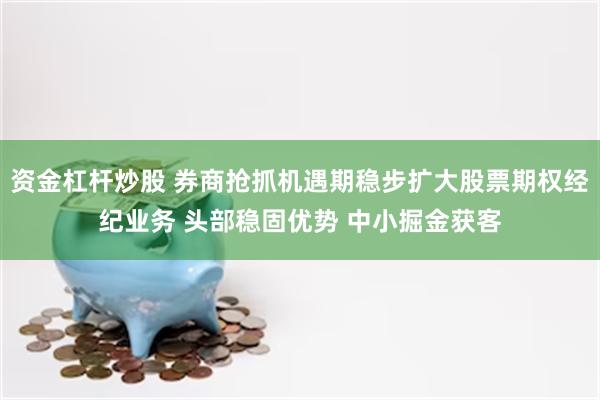 资金杠杆炒股 券商抢抓机遇期稳步扩大股票期权经纪业务 头部稳固优势 中小掘金获客