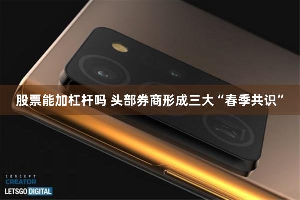 股票能加杠杆吗 头部券商形成三大“春季共识”