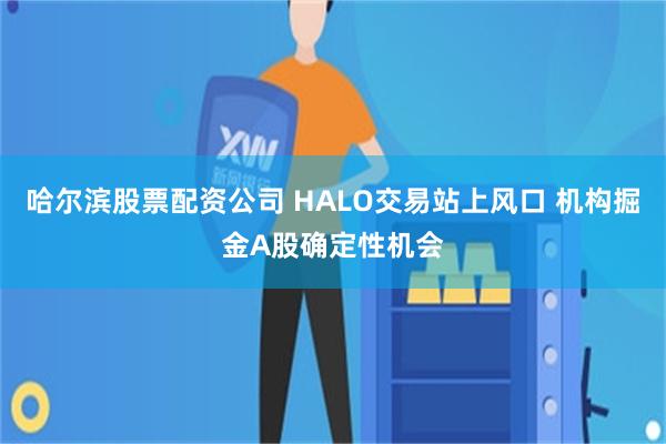哈尔滨股票配资公司 HALO交易站上风口 机构掘金A股确定性机会