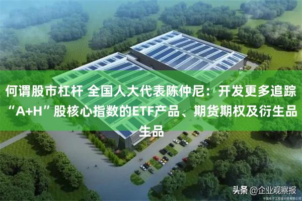 何谓股市杠杆 全国人大代表陈仲尼：开发更多追踪“A+H”股核心指数的ETF产品、期货期权及衍生品