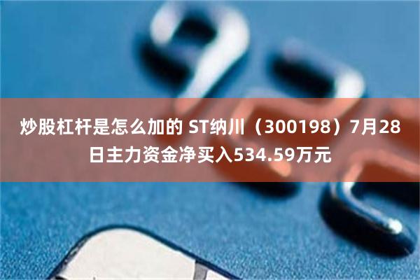 炒股杠杆是怎么加的 ST纳川（300198）7月28日主力资金净买入534.59万元