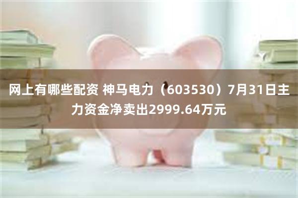 网上有哪些配资 神马电力（603530）7月31日主力资金净卖出2999.64万元
