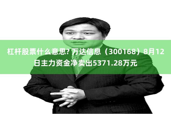 杠杆股票什么意思? 万达信息（300168）8月12日主力资金净卖出5371.28万元