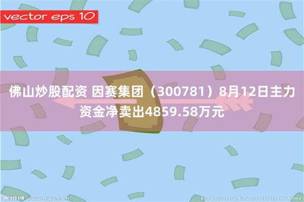 佛山炒股配资 因赛集团（300781）8月12日主力资金净卖出4859.58万元