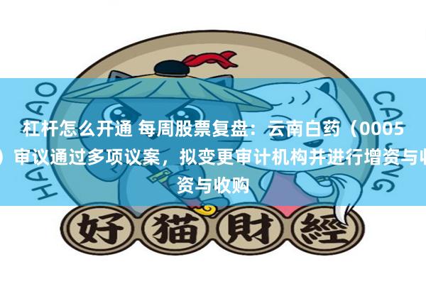杠杆怎么开通 每周股票复盘：云南白药（000538）审议通过多项议案，拟变更审计机构并进行增资与收购