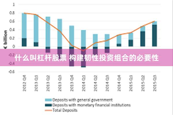 什么叫杠杆股票 构建韧性投资组合的必要性