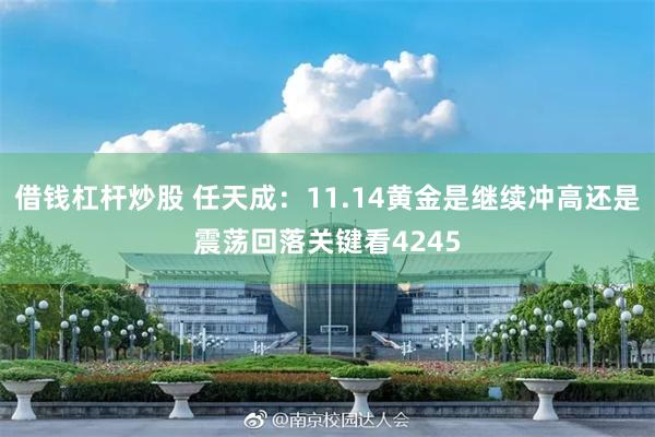 借钱杠杆炒股 任天成：11.14黄金是继续冲高还是震荡回落关键看4245