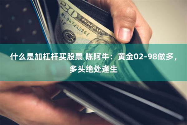 什么是加杠杆买股票 陈阿牛:黄金02-98做多,多头绝处逢生