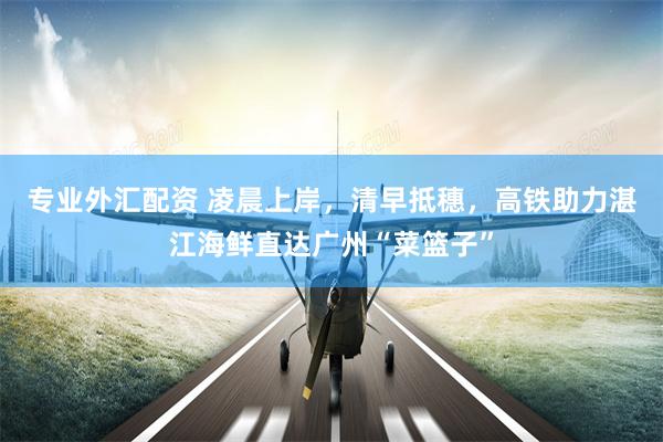 专业外汇配资 凌晨上岸，清早抵穗，高铁助力湛江海鲜直达广州“菜篮子”