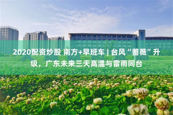 2020配资炒股 南方+早班车 | 台风“蔷薇”升级,广东未来三天高温与雷雨同台