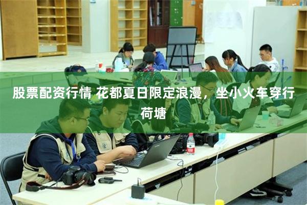 股票配资行情 花都夏日限定浪漫，坐小火车穿行荷塘