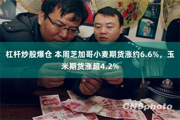杠杆炒股爆仓 本周芝加哥小麦期货涨约6.6%,玉米期货涨超4.2%