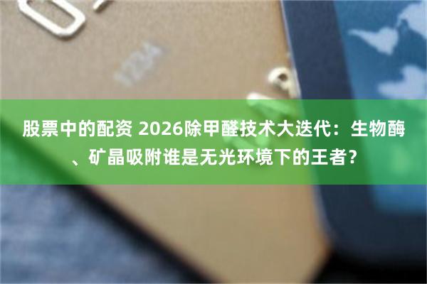 股票中的配资 2026除甲醛技术大迭代：生物酶、矿晶吸附谁是无光环境下的王者？