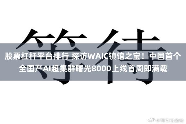 股票杠杆平台排行 探访WAIC镇馆之宝！中国首个全国产AI超集群曙光8000上线首周即满载
