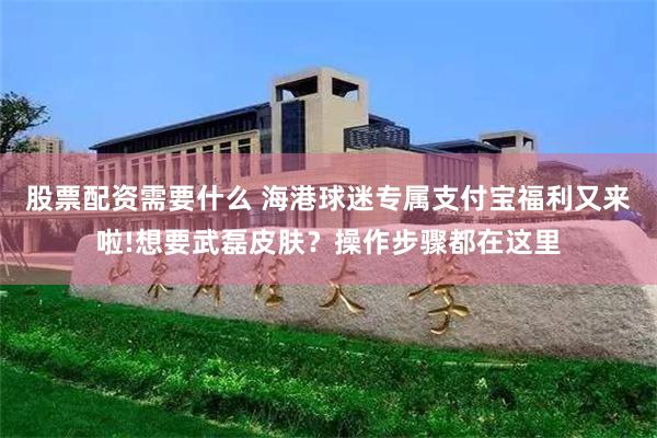 股票配资需要什么 海港球迷专属支付宝福利又来啦!想要武磊皮肤？操作步骤都在这里