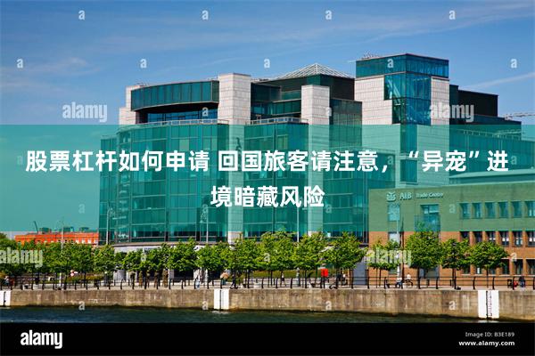 股票杠杆如何申请 回国旅客请注意，“异宠”进境暗藏风险