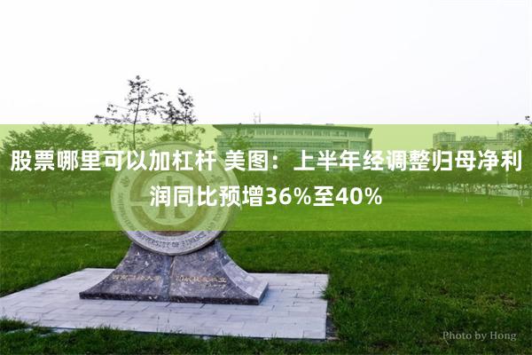 股票哪里可以加杠杆 美图：上半年经调整归母净利润同比预增36%至40%