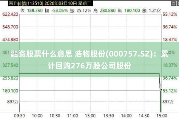 融资股票什么意思 浩物股份(000757.SZ)：累计回购276万股公司股份