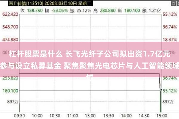 杠杆股票是什么 长飞光纤子公司拟出资1.7亿元参与设立私募基金 聚焦聚焦光电芯片与人工智能领域
