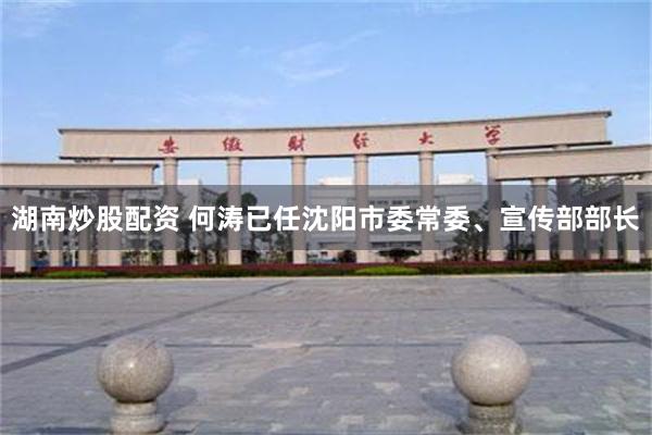 湖南炒股配资 何涛已任沈阳市委常委、宣传部部长
