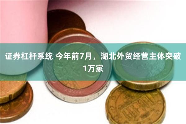 证券杠杆系统 今年前7月，湖北外贸经营主体突破1万家