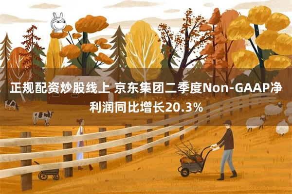 正规配资炒股线上 京东集团二季度Non-GAAP净利润同比增长20.3%