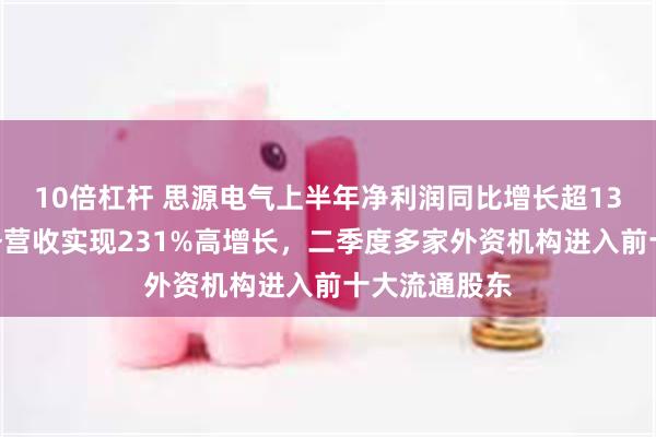 10倍杠杆 思源电气上半年净利润同比增长超13%，储能业务营收实现231%高增长，二季度多家外资机构进入前十大流通股东
