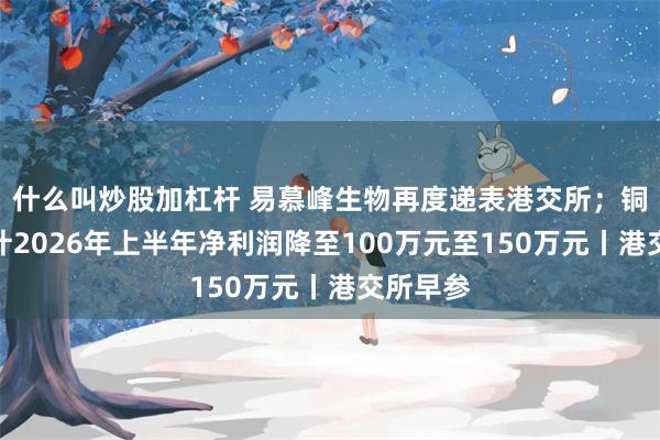 什么叫炒股加杠杆 易慕峰生物再度递表港交所；铜师傅预计2026年上半年净利润降至100万元至150万元丨港交所早参