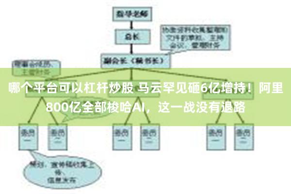 哪个平台可以杠杆炒股 马云罕见砸6亿增持！阿里800亿全部梭哈AI，这一战没有退路