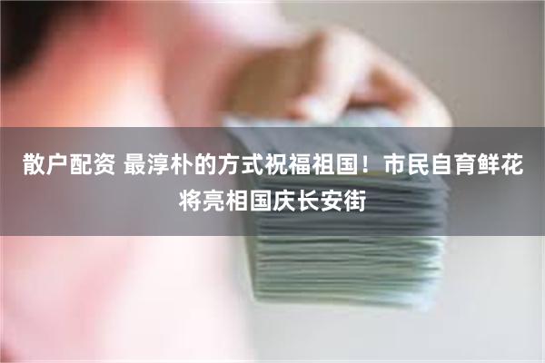 散户配资 最淳朴的方式祝福祖国！市民自育鲜花将亮相国庆长安街