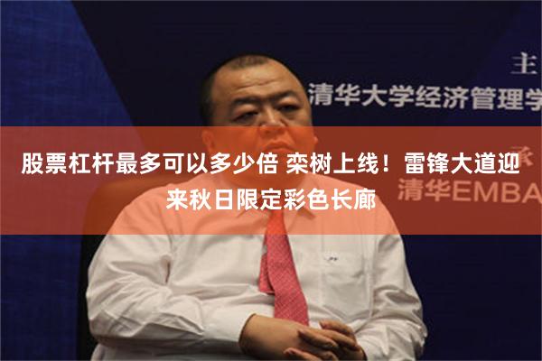 股票杠杆最多可以多少倍 栾树上线！雷锋大道迎来秋日限定彩色长廊