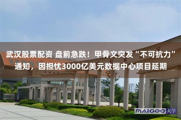 武汉股票配资 盘前急跌！甲骨文突发“不可抗力”通知，因担忧3000亿美元数据中心项目延期