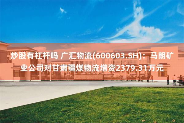 炒股有杠杆吗 广汇物流(600603.SH)：马朗矿业公司对甘肃疆煤物流增资2379.31万元