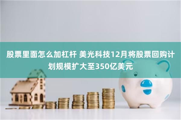 股票里面怎么加杠杆 美光科技12月将股票回购计划规模扩大至350亿美元
